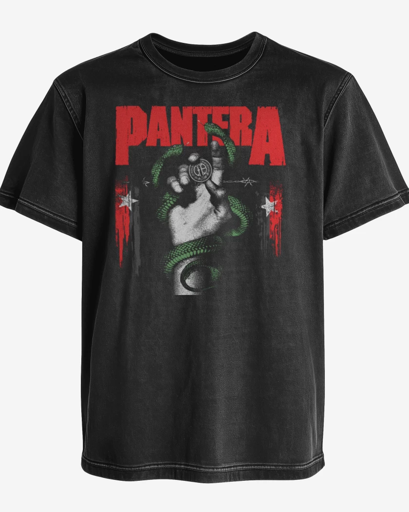 Polera desgastada Pantera 2022
