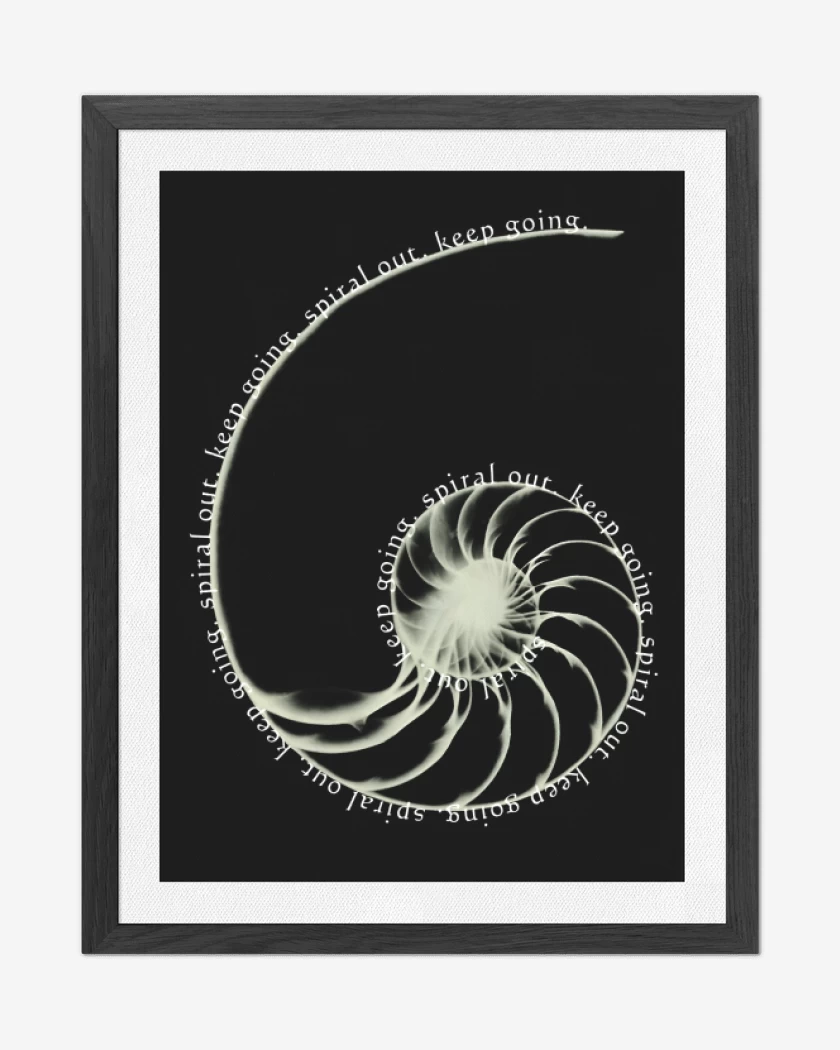 Cuadro decorativo Spiral Out