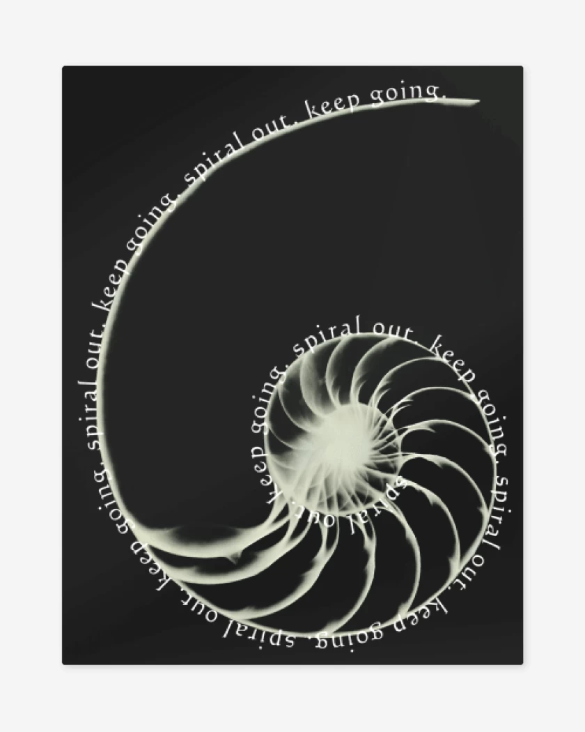 Print metalico Negro de Spiral Out