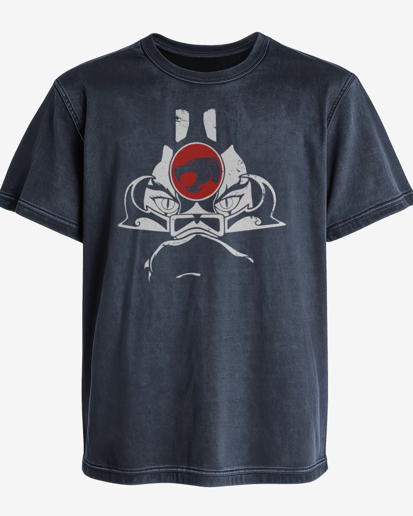 Polera desgastada Thundercats 2