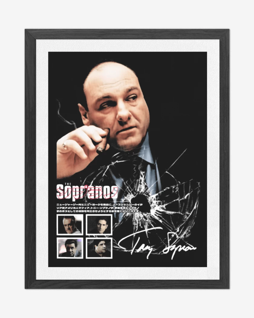 Cuadro decorativo Tony Soprano