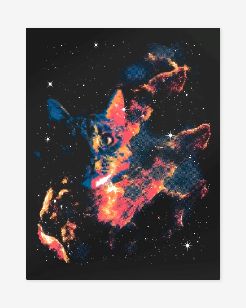 Print metalico Neko Espacial