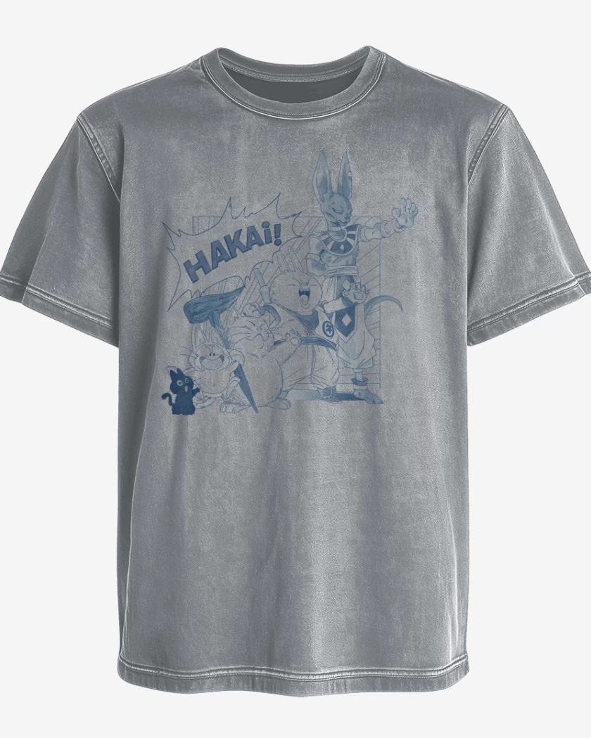 Polera desgastada Michi Z