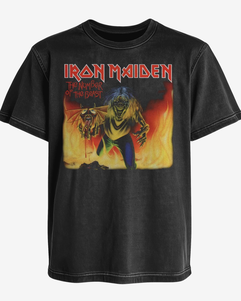 Polera desgastada The Beast