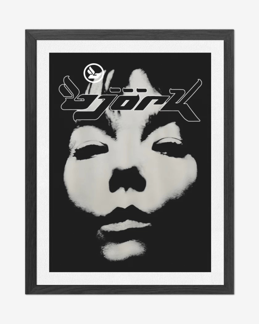 Cuadro decorativo Negro de Bjork II