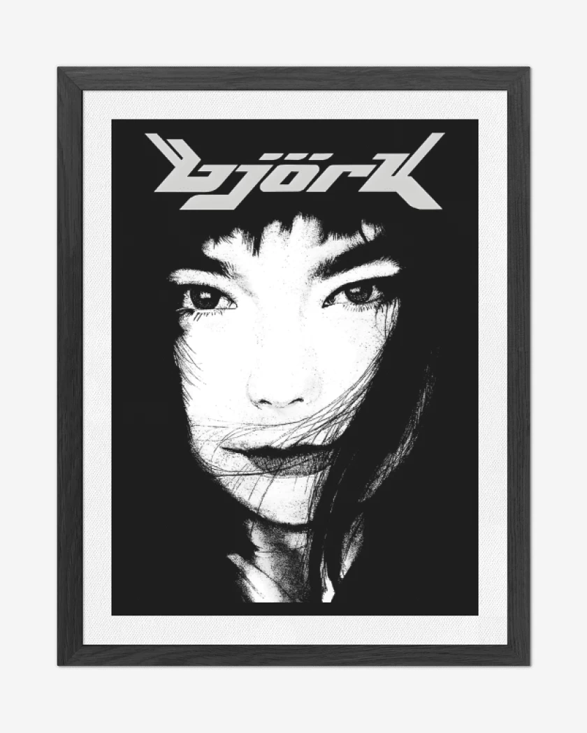Cuadro decorativo Negro de Bjork III