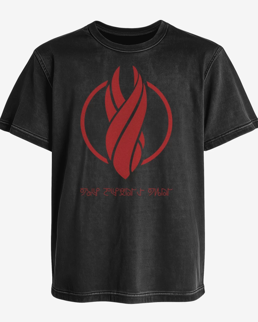 Polera desgastada Efigie A3