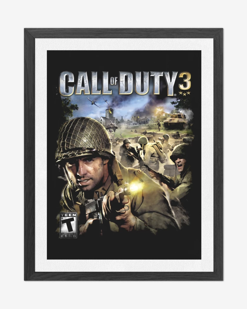 Cuadro decorativo COD III