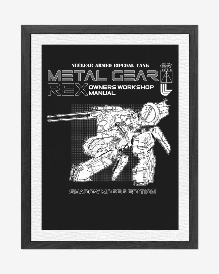Cuadro decorativo Negro de MG Rex