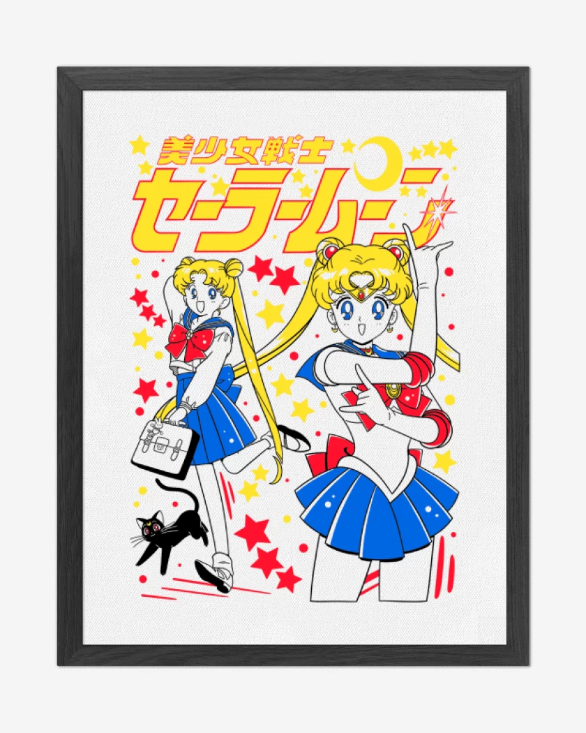 Cuadro decorativo Blanco de Sailor Serena B