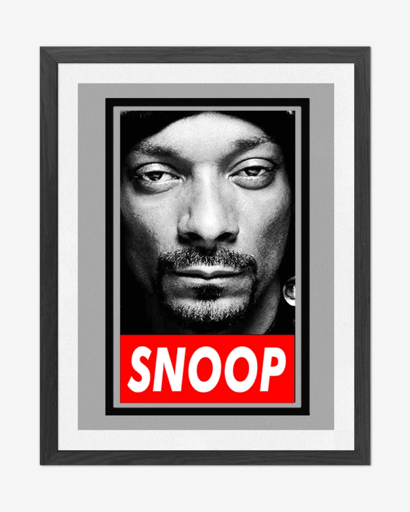 Cuadro decorativo Snoop