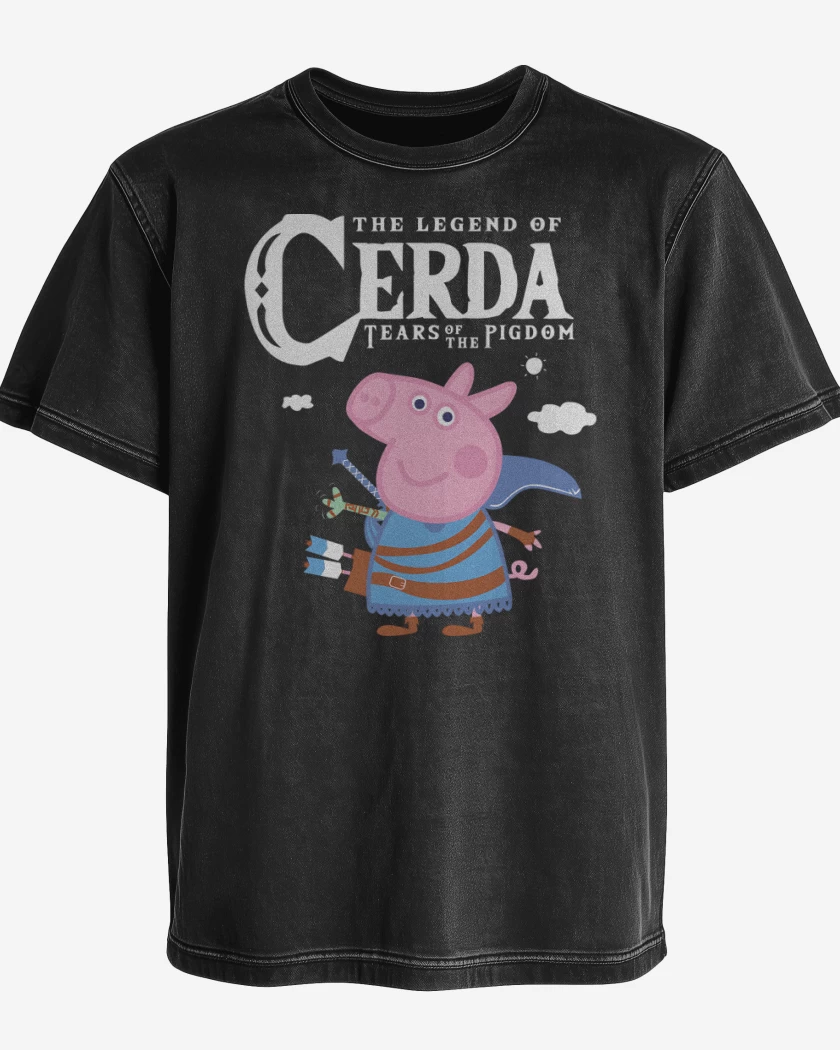 Polera desgastada The Legend of Cerda