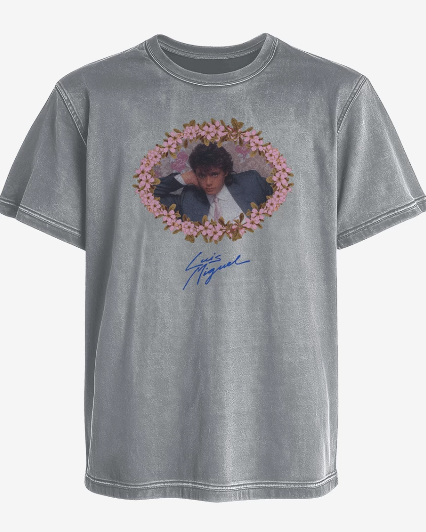 Polera desgastada Gris Melange de Luis Miguel Joven