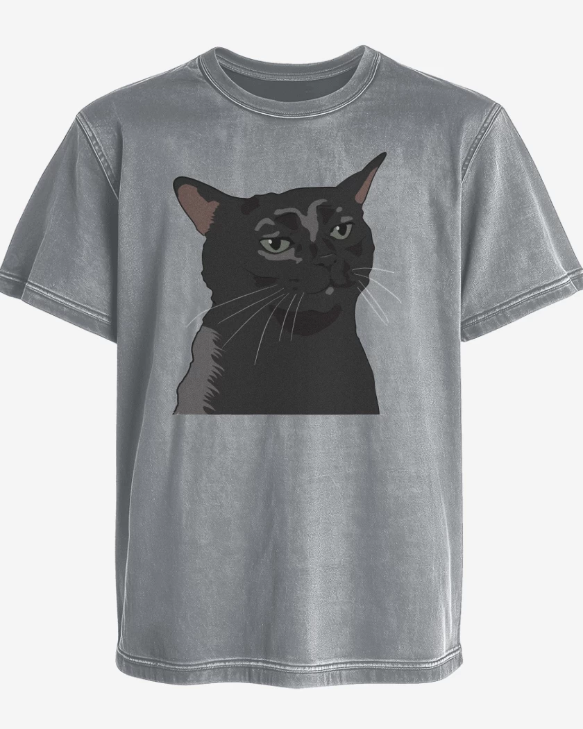 Polera desgastada Gatito Negro MEME