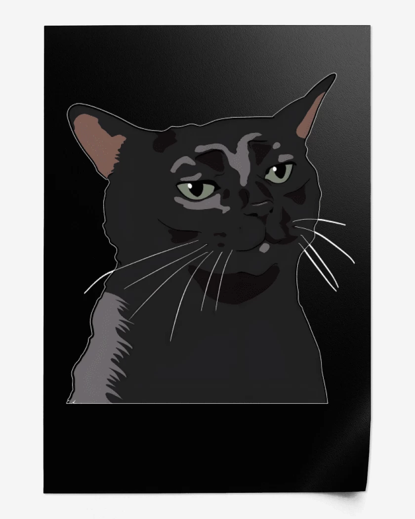 Print Gatito Negro MEME