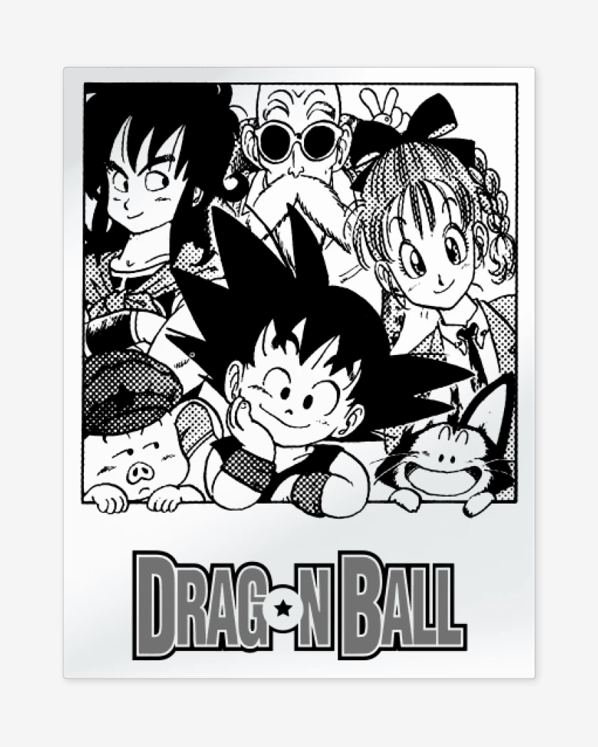 Print metalico Goku y sus amigos