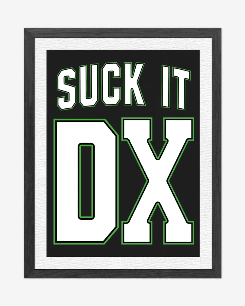 Cuadro decorativo DX Suck It