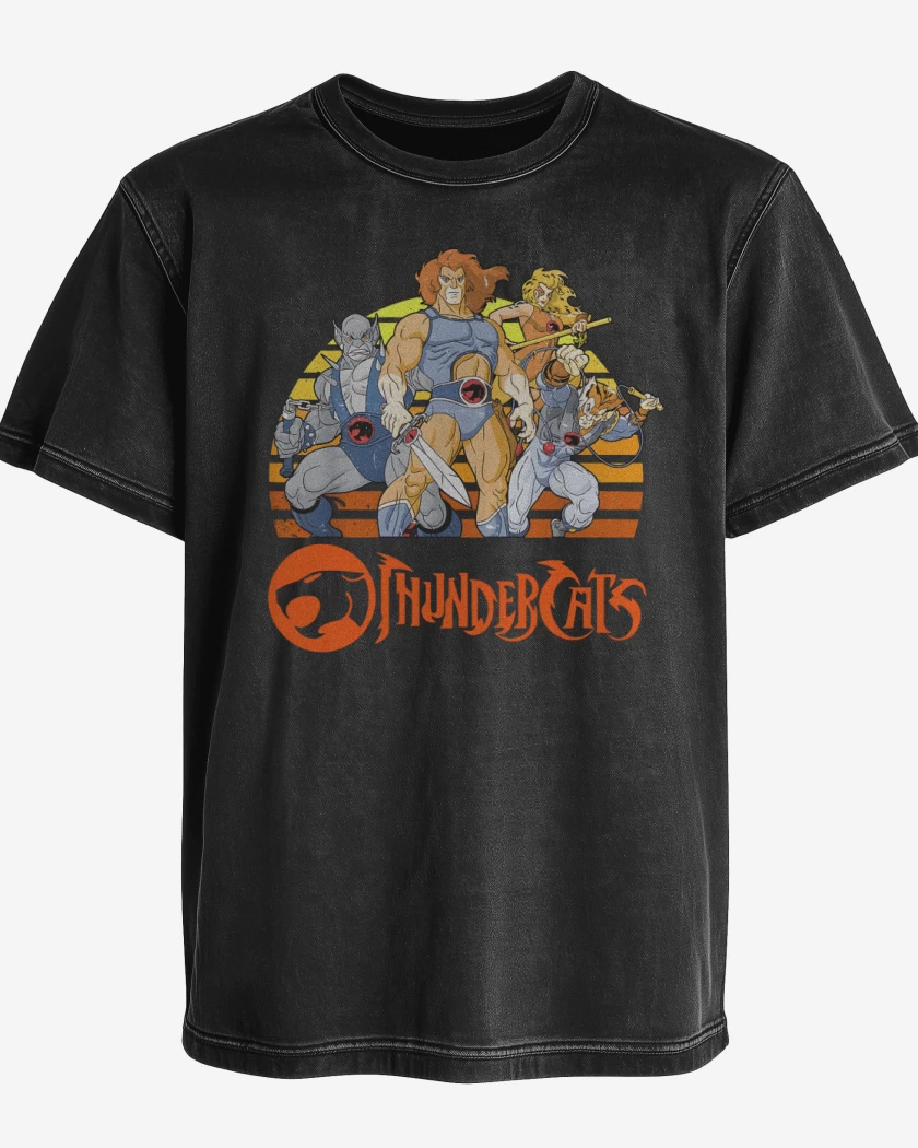 Polera desgastada Negro de Thundercats personajes