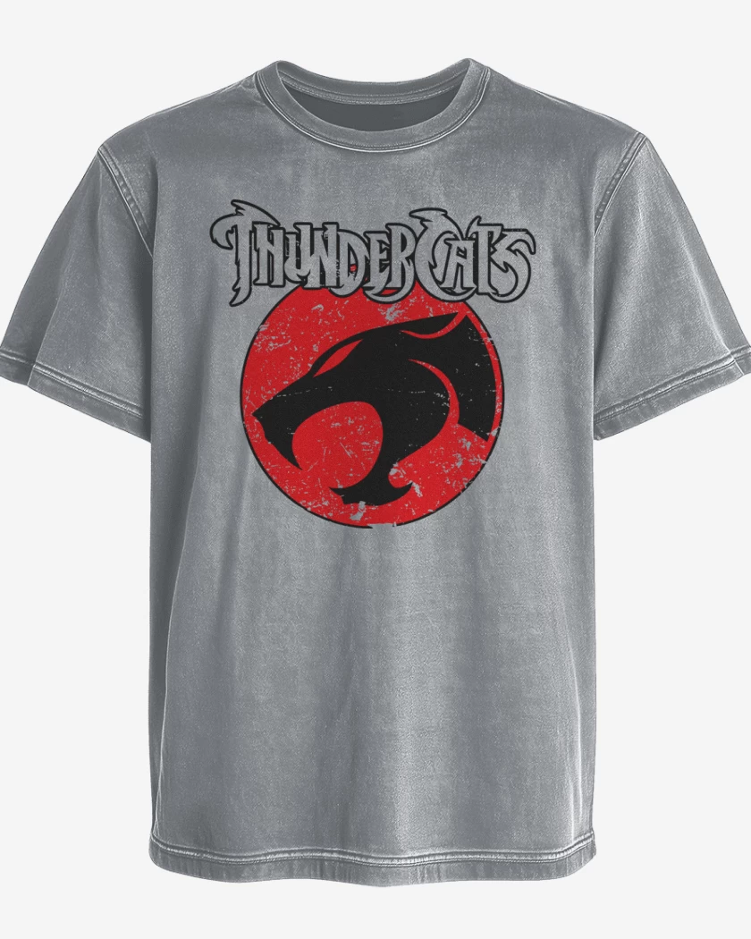 Polera desgastada Gris Melange de Thundercats loguito