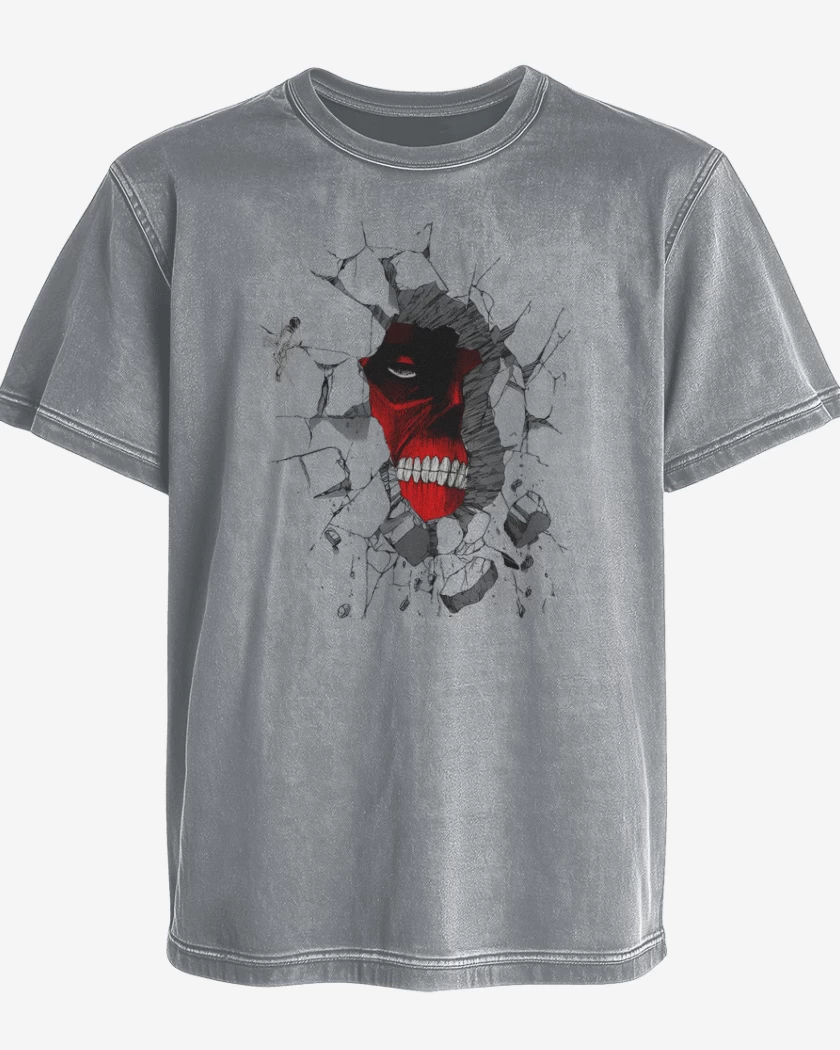 Polera desgastada Gris Melange de Titancito