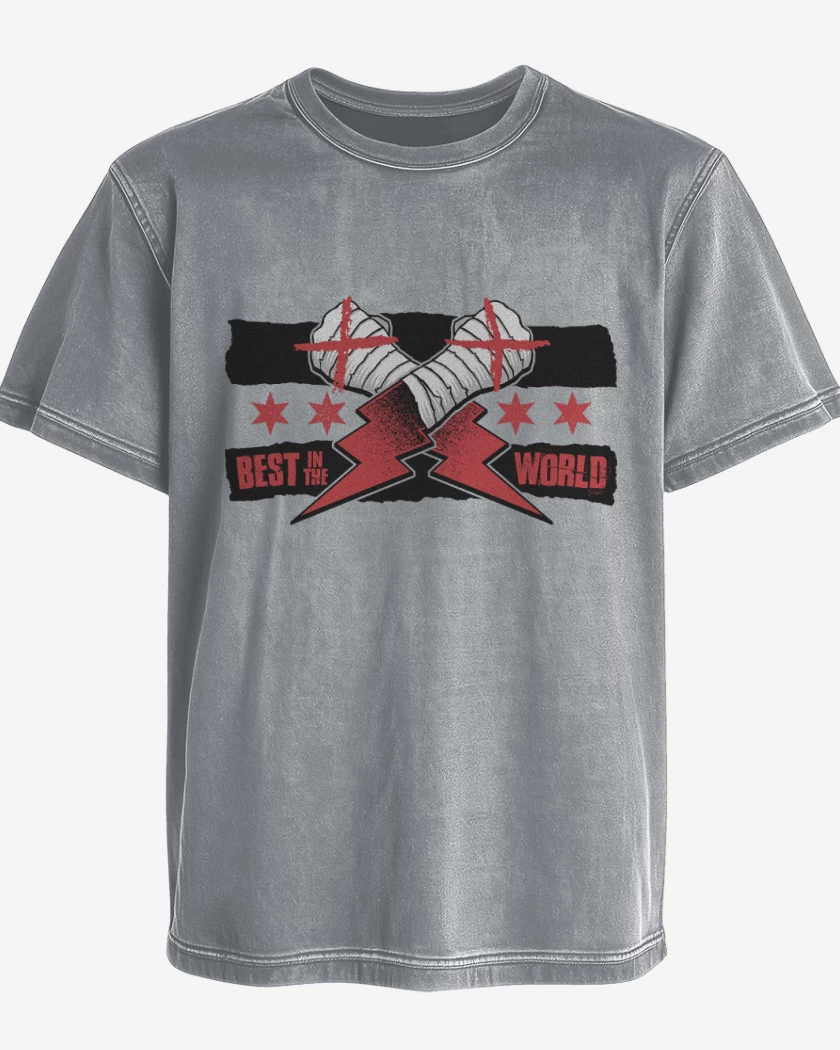 Polera desgastada Best in the World