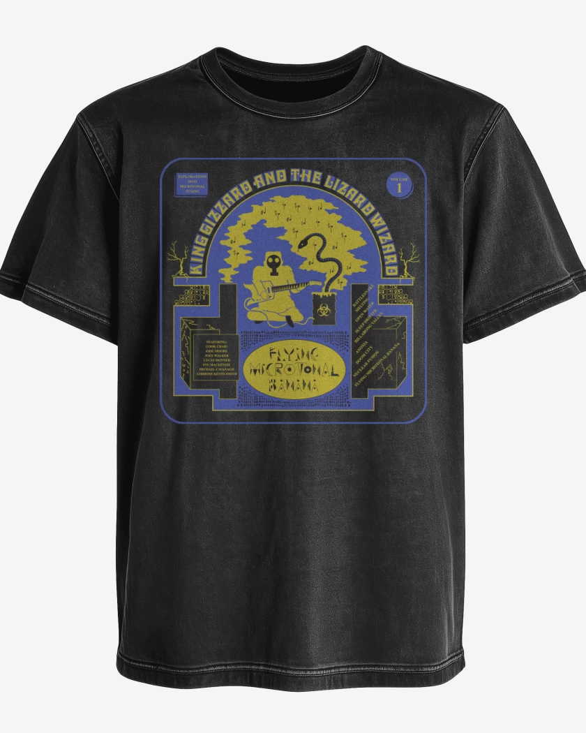 Polera desgastada Flying Microtonal Banana 