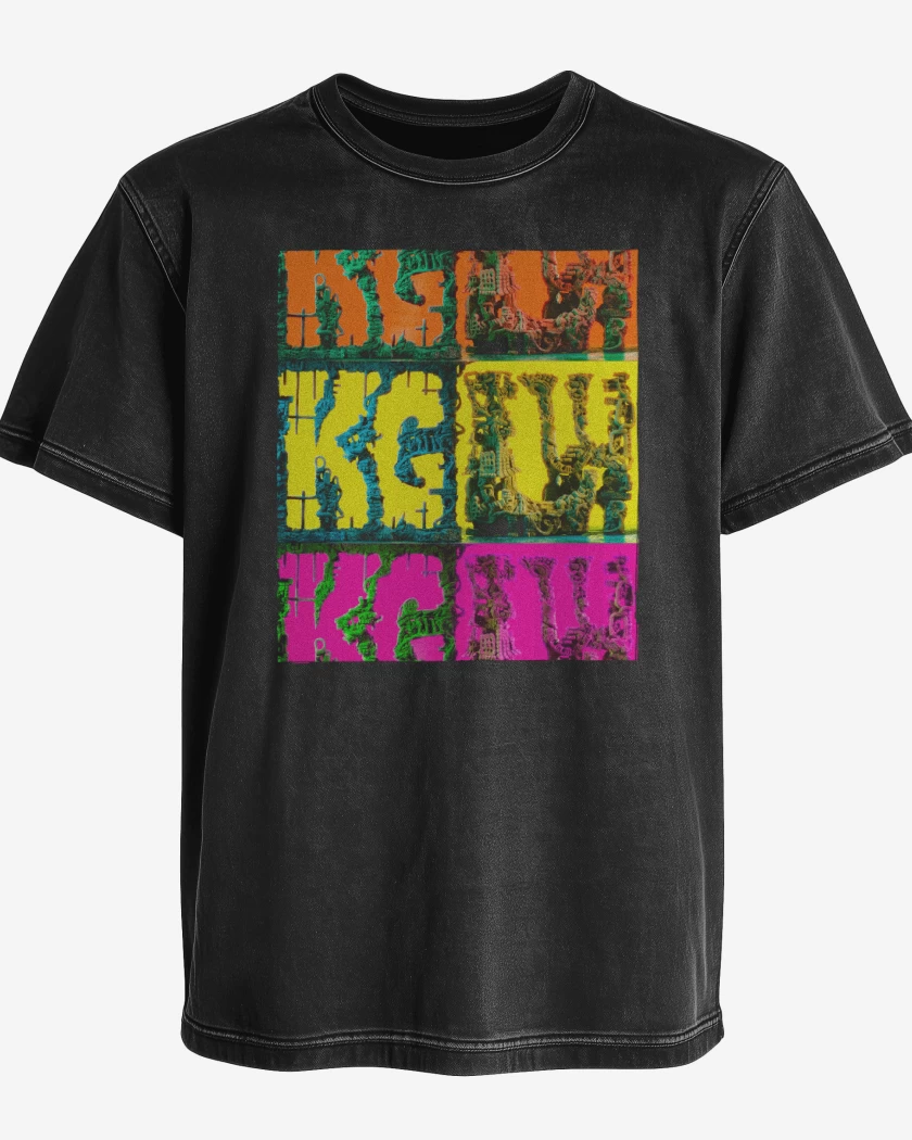 Polera desgastada KGLW