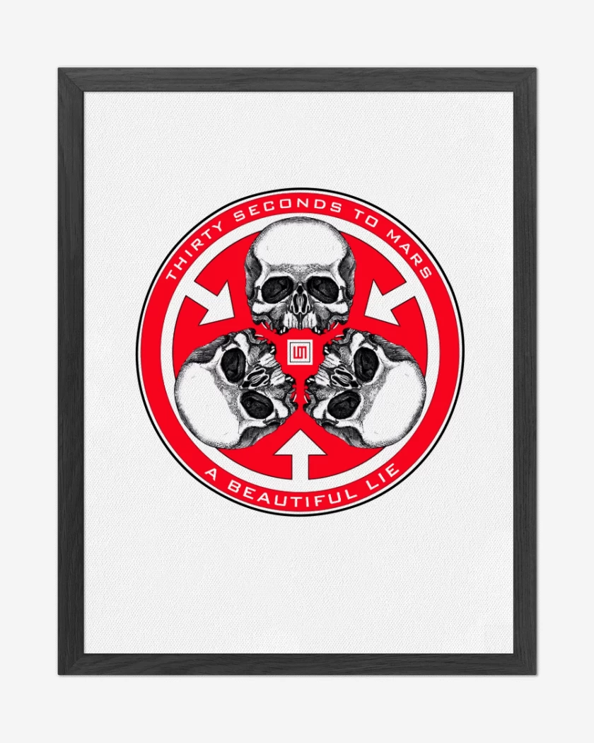 Cuadro decorativo Blanco de A Beautiful Lie