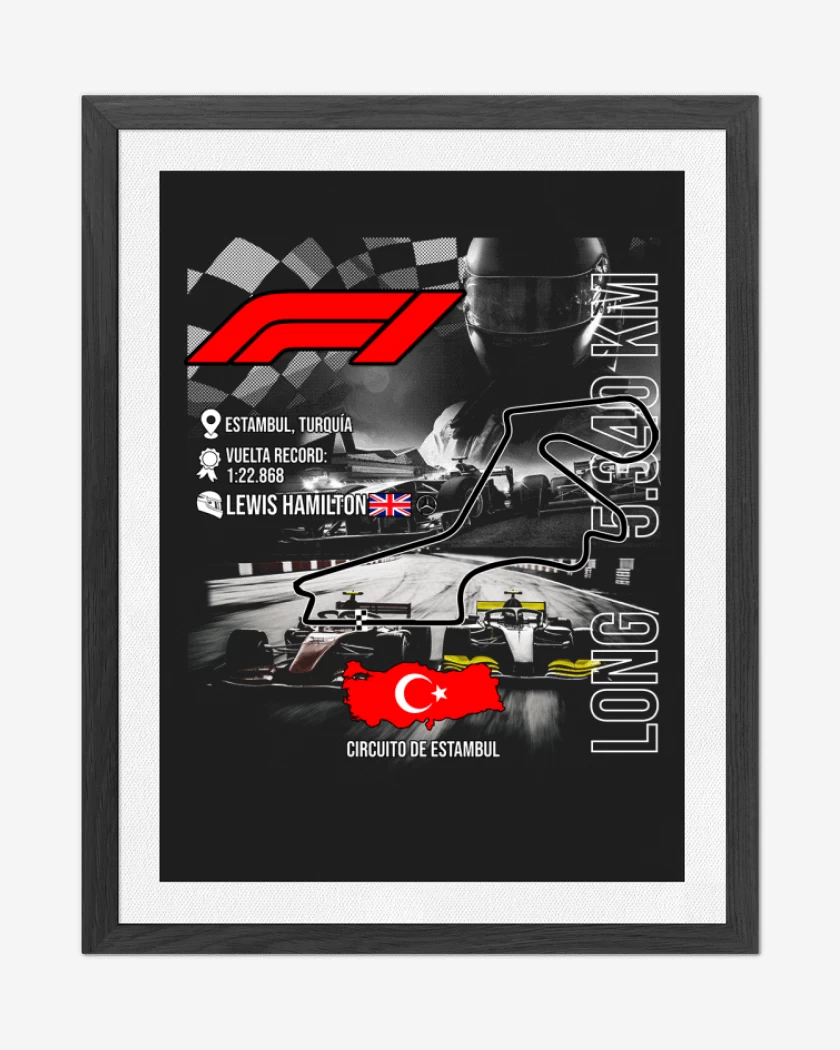 Cuadro decorativo F1 Circuito de Estambul