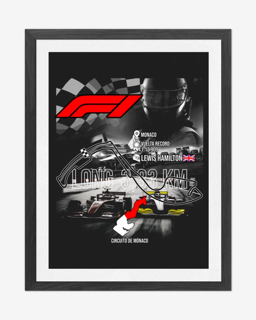 Cuadro decorativo F1 Circuito de monaco