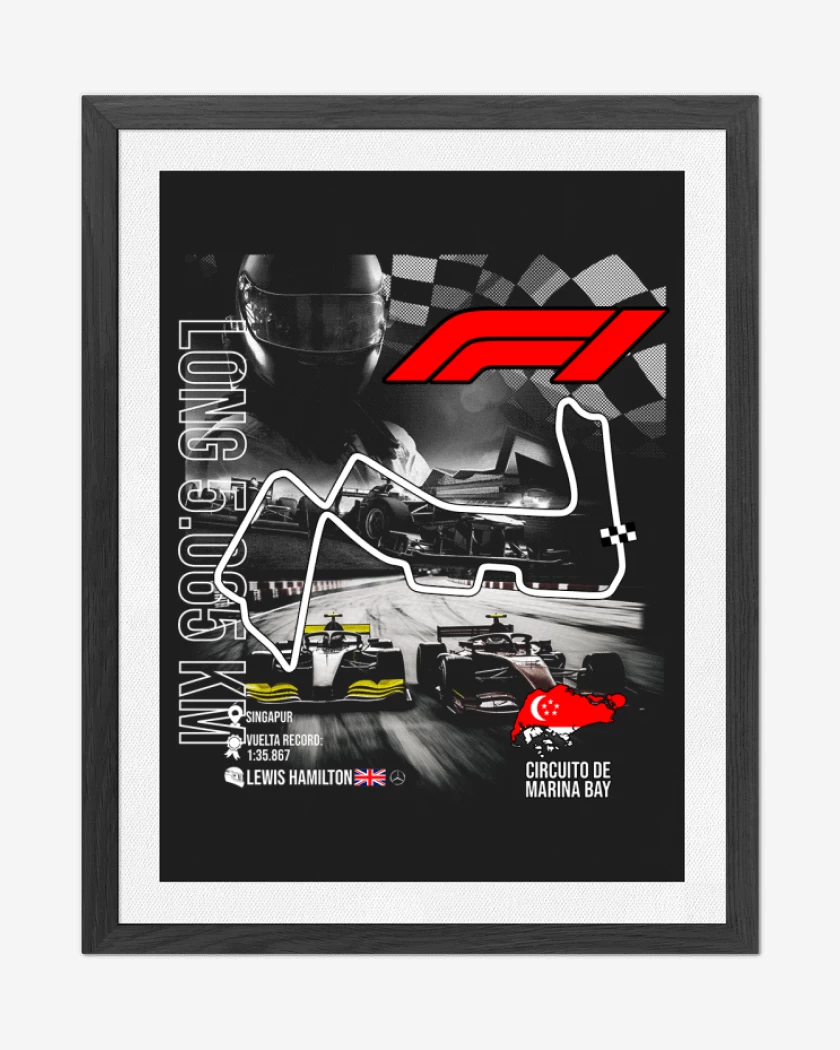 Cuadro decorativo F1 Circuito de Marina Bay