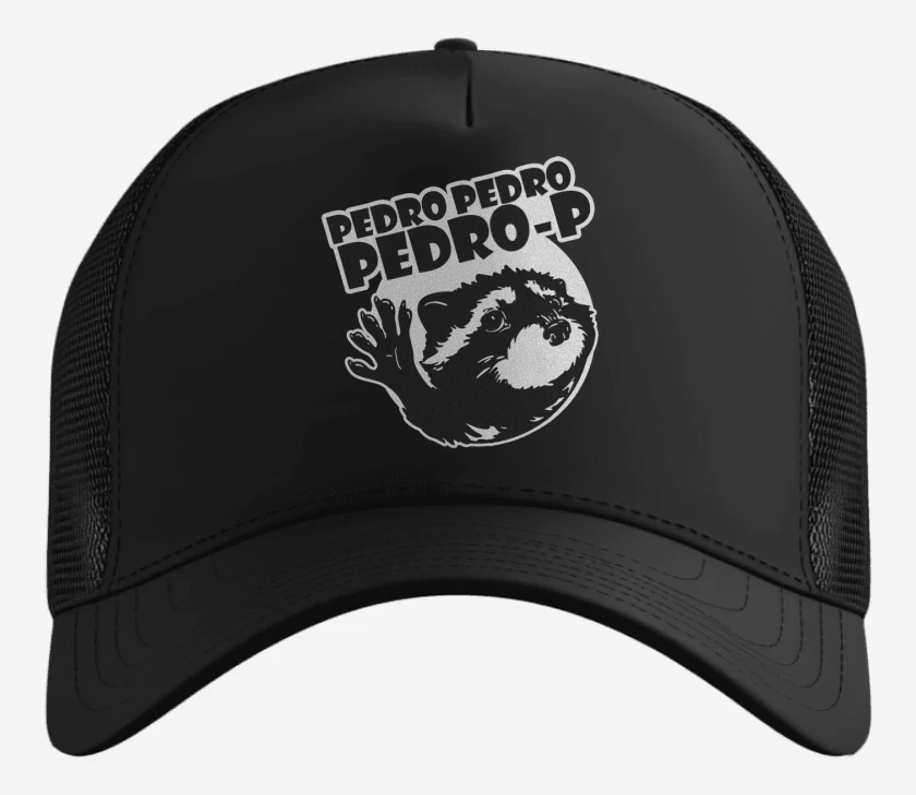 Gorro mapache pedro v1