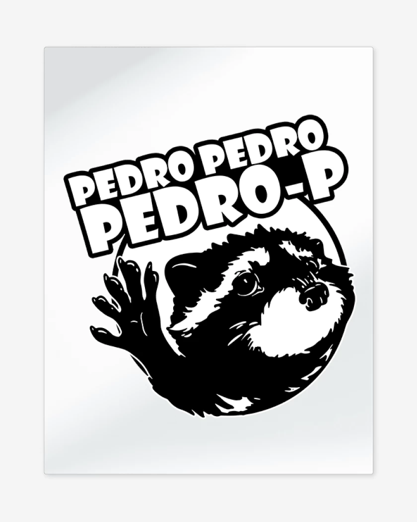 Print metalico Blanco de Mapache Pedro v2