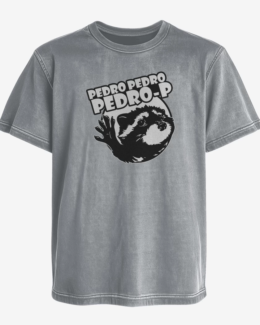 Polera desgastada Gris Melange de Mapache Pedro v2
