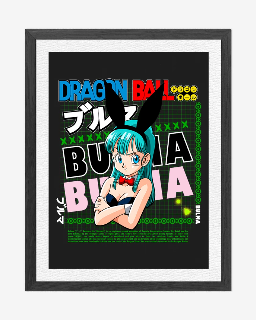 Cuadro decorativo Bulma dragon ball