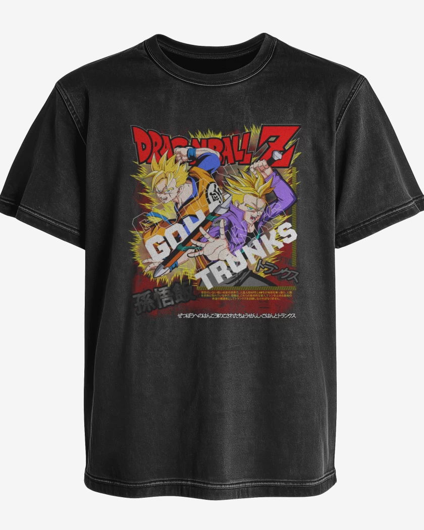 Polera desgastada Futuro Gohan and Trunks