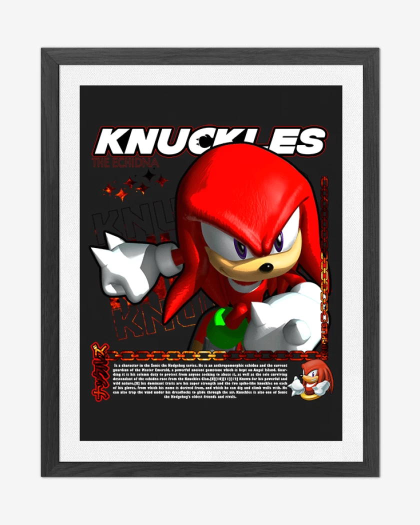 Cuadro decorativo Negro de Knuckles the Echidna
