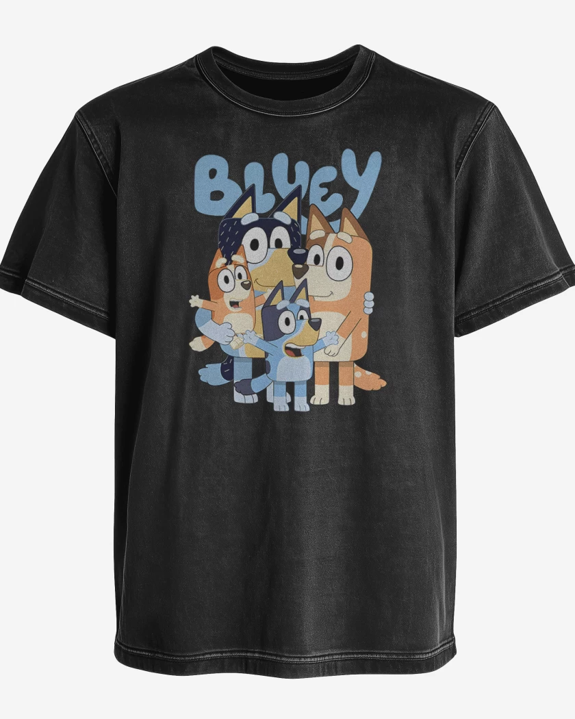 Polera desgastada Familia bluey