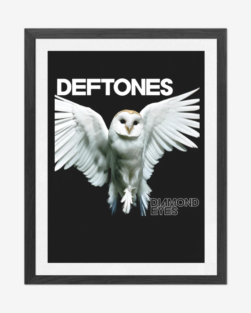 Cuadro decorativo Diamond Eyes