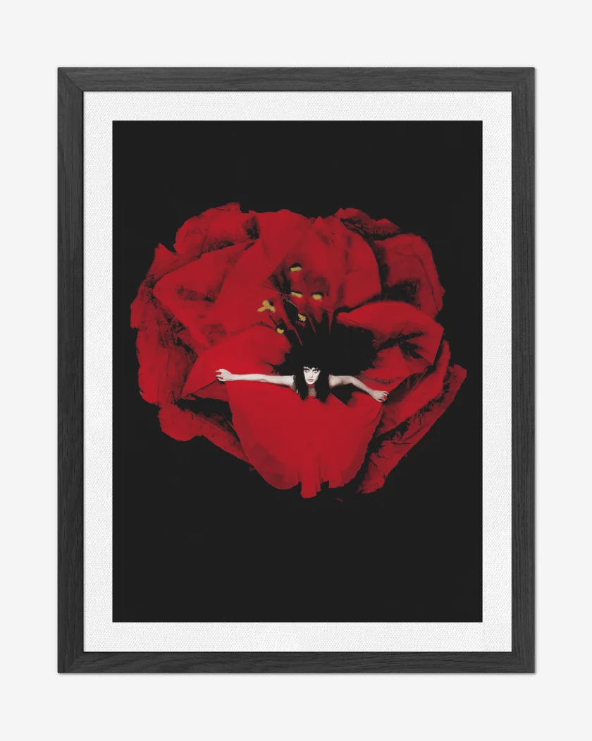 Cuadro decorativo Negro de Adore II