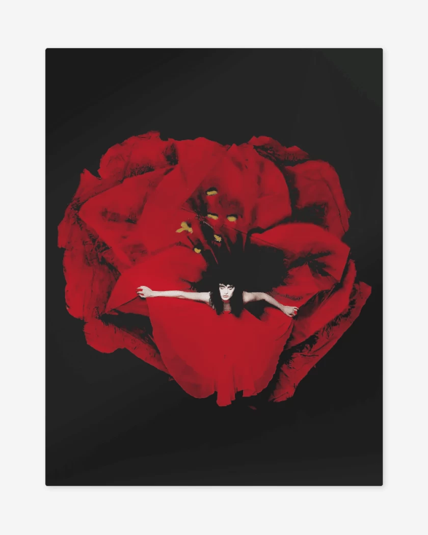 Print metalico Negro de Adore II