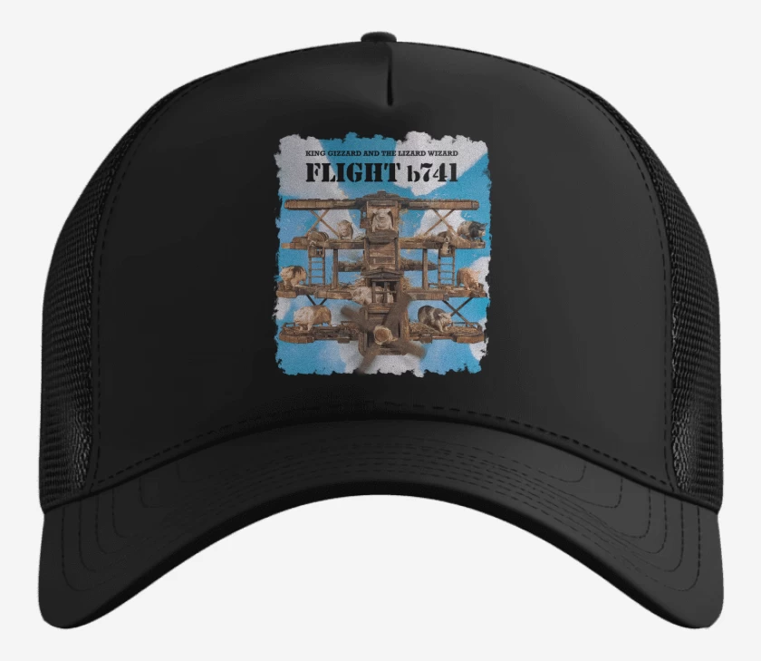 Gorro Flight b741