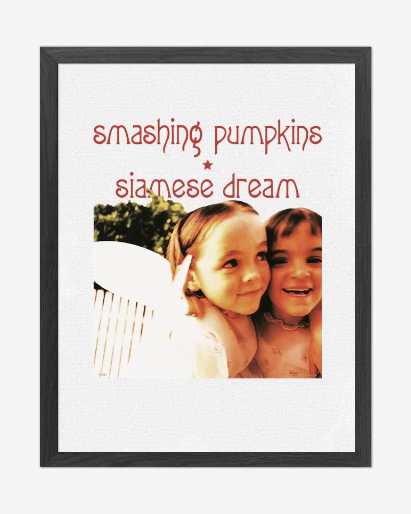 Cuadro decorativo Blanco de Siamese Dream