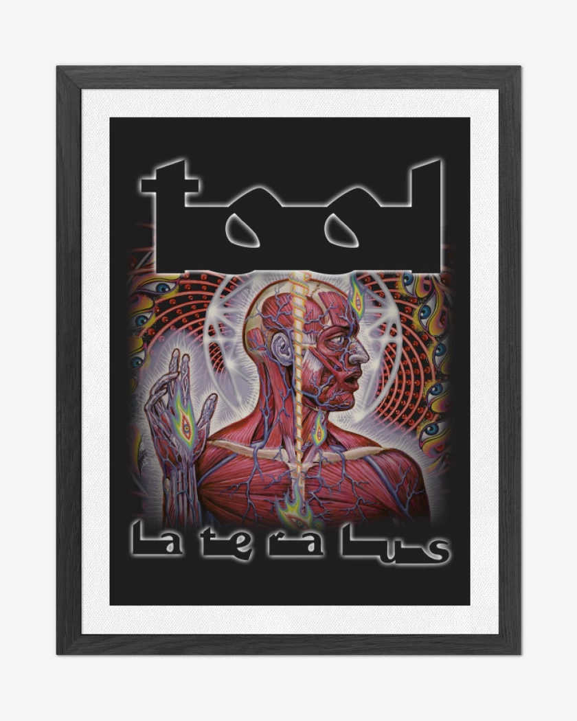 Cuadro decorativo Negro de Tool Lateralus
