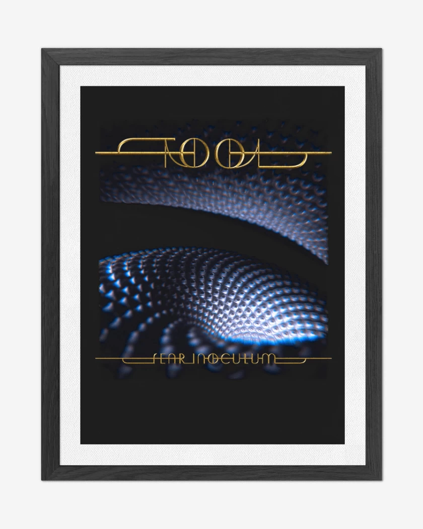 Cuadro decorativo Tool Fear Inoculum