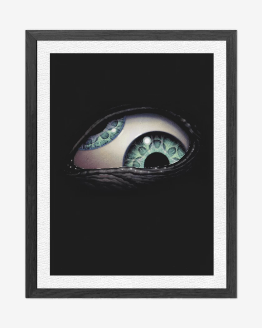 Cuadro decorativo Negro de Tool Ojo