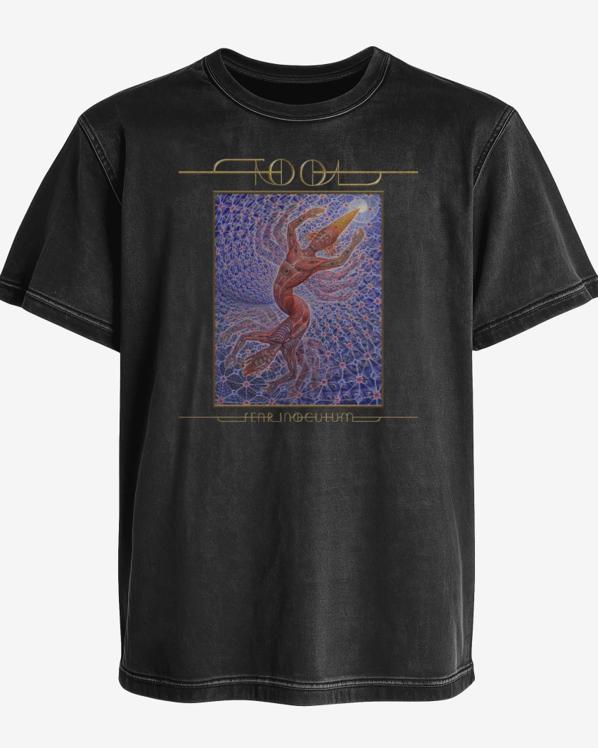 Polera desgastada Tool The Great Turn