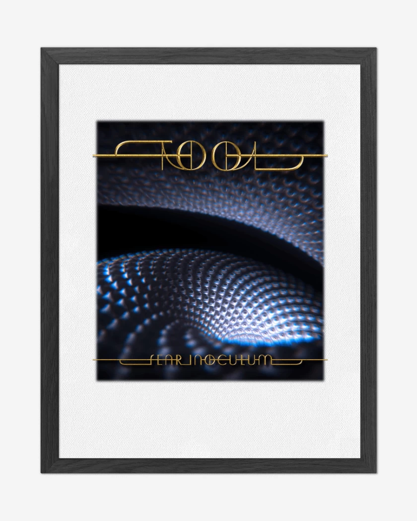Cuadro decorativo Tool Fear Inoculum Blanco