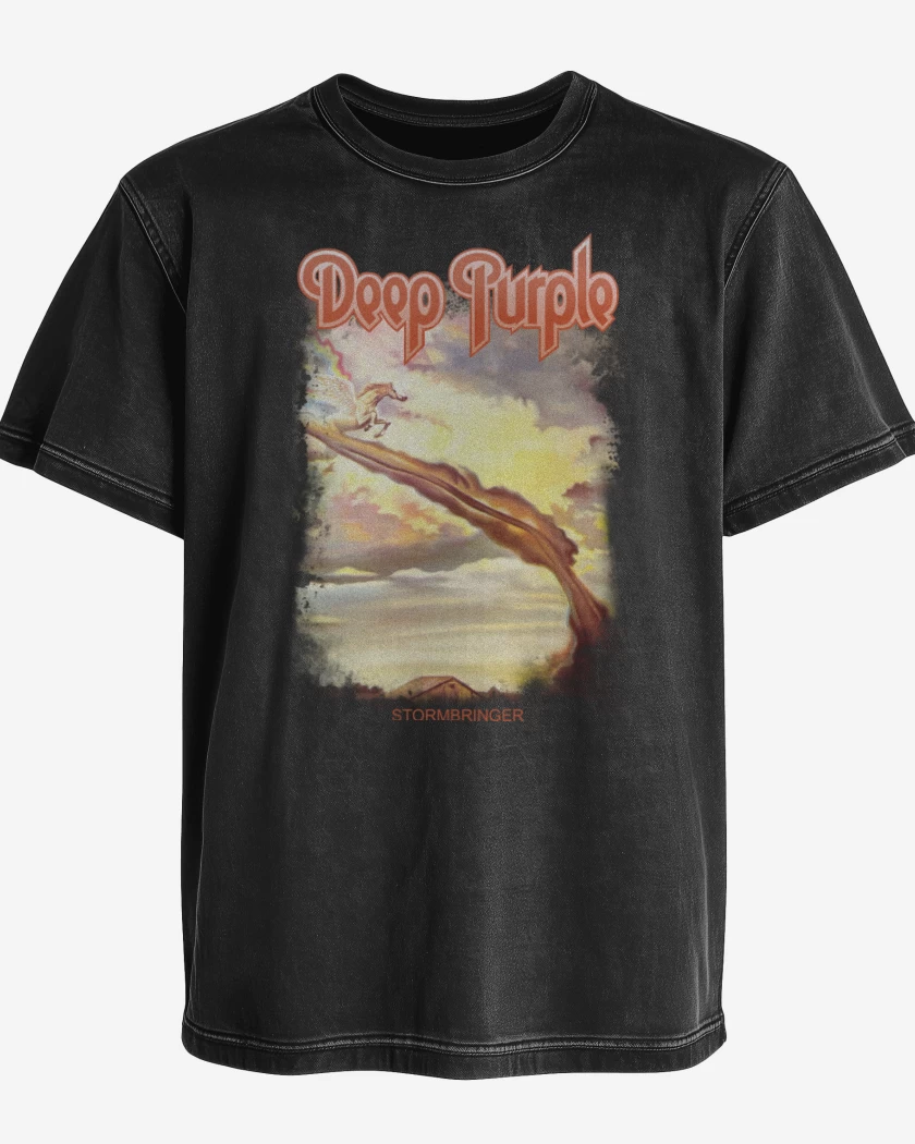 Polera desgastada Stormbringer